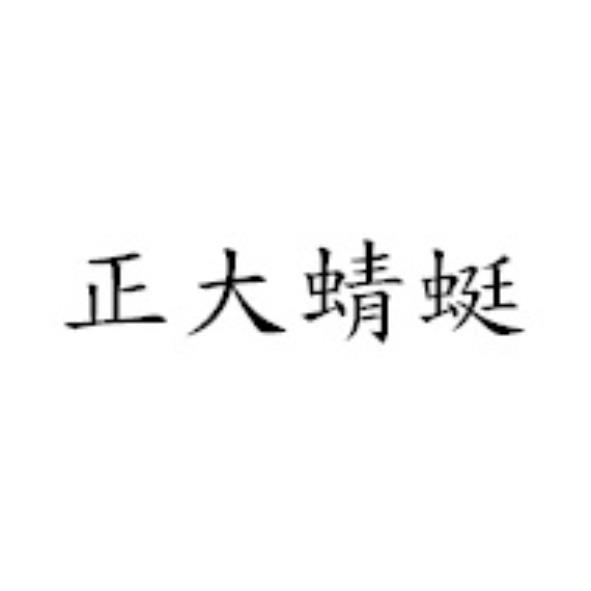 正大蜻蜓
