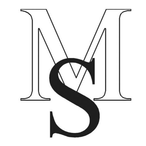 MS設計圖