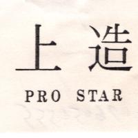 上造PRO STAR