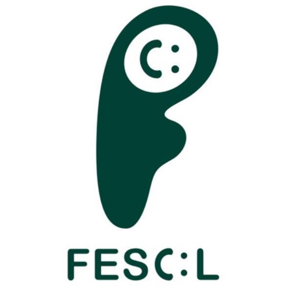 FESC：L及圖