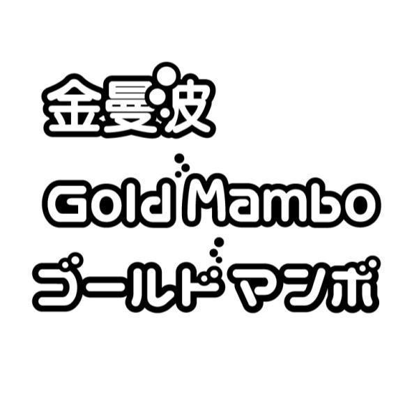 金曼波、GoldMambo、ゴールドマンボ及圖