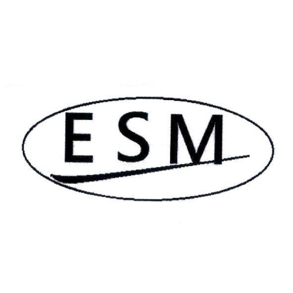 ESM 及圖