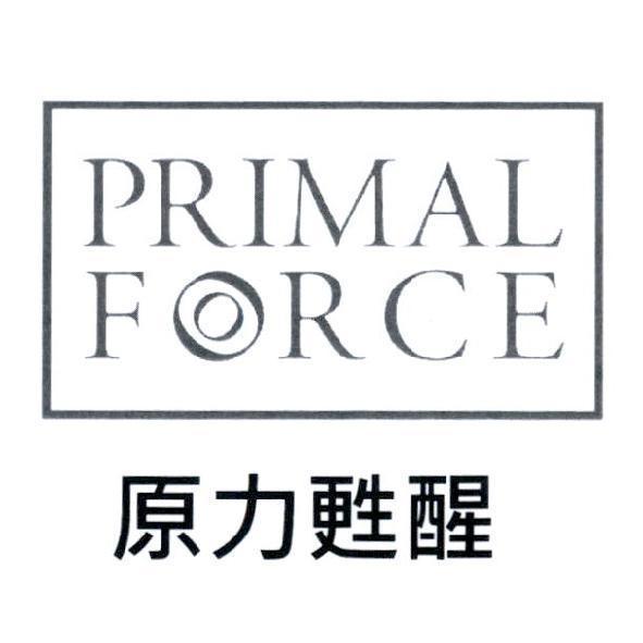 原力甦醒 PRIMAL FORCE 及圖