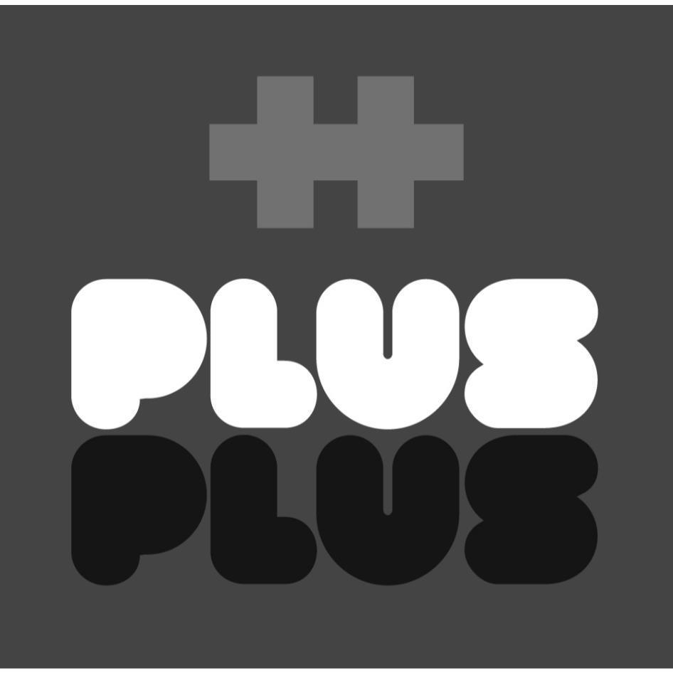 PLUS PLUS (fig)