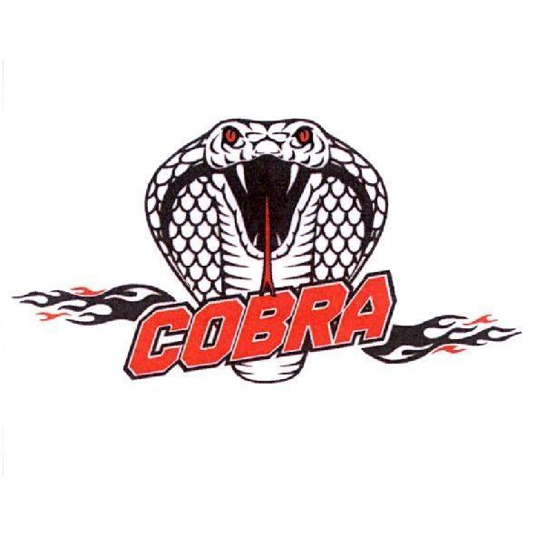COBRA及圖