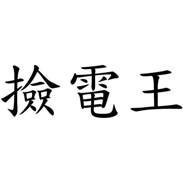 撿電王