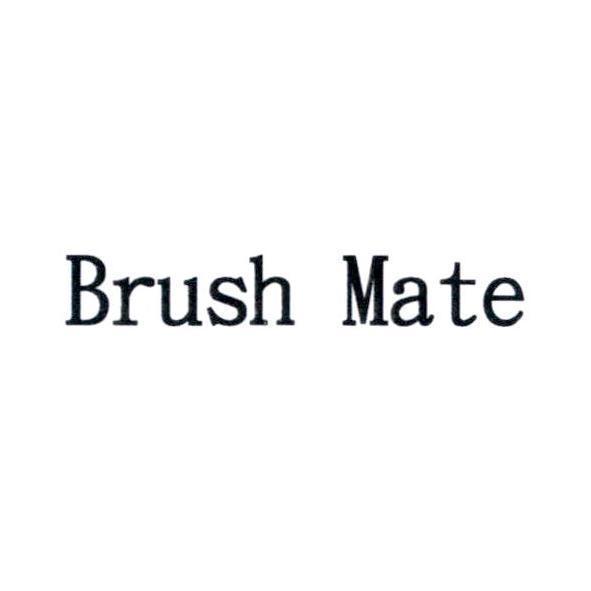 Brush Mate