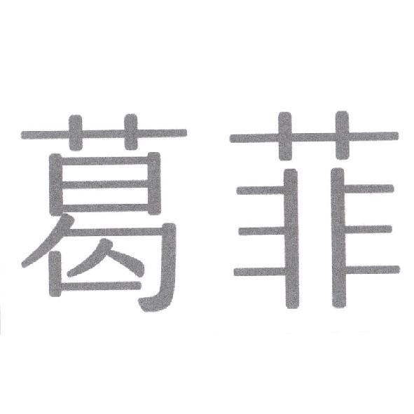葛菲