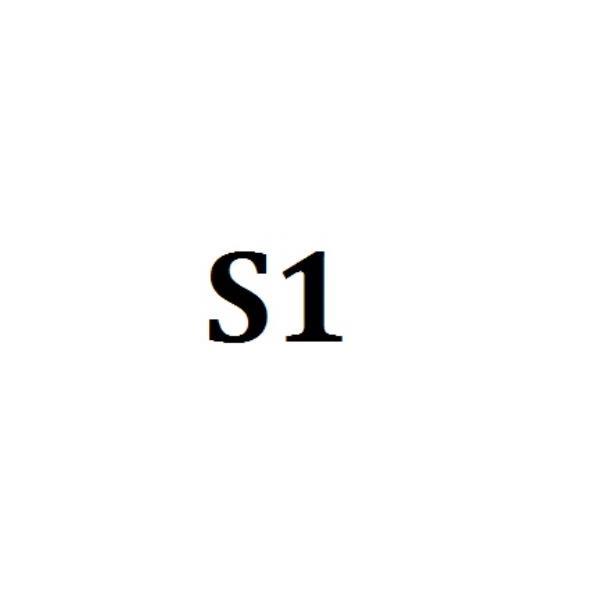 S1