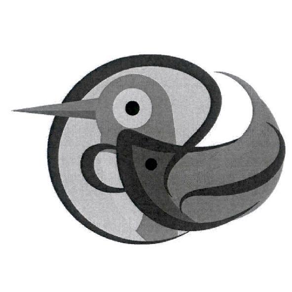 飛鳥魚設計圖