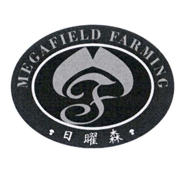 MEGAFIELD FARMING 設計圖