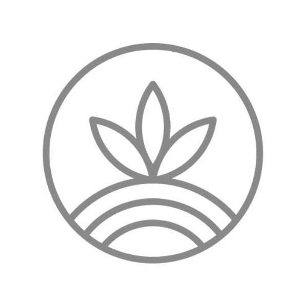 安邁核心公司標章