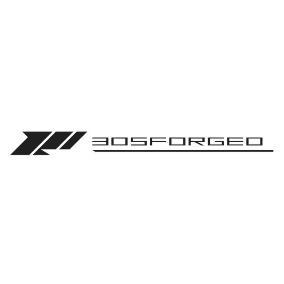 305FORGED及圖
