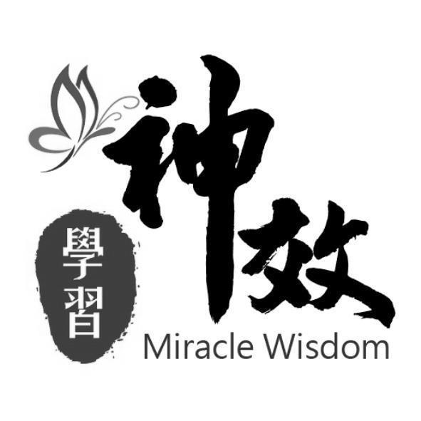 神效學習Miracle Wisdom及圖