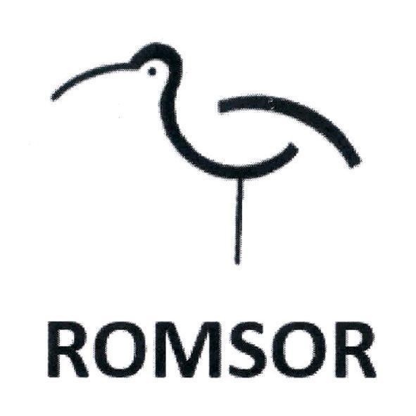 ROMSOR及圖
