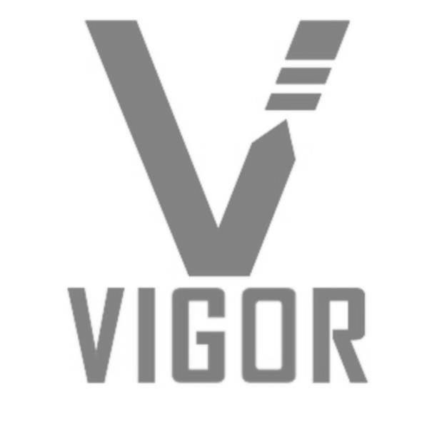 V VIGOR