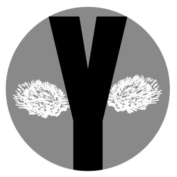 Y 設計圖