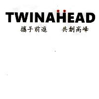 TWINAHEAD 攜手前進　共創高峰
