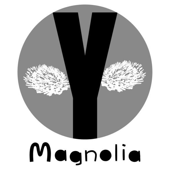Y Magnolia及圖
