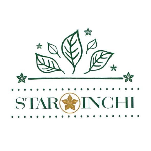 STAR INCHI 及圖