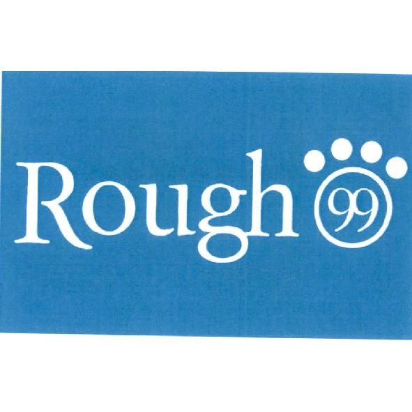 rough99 及圖