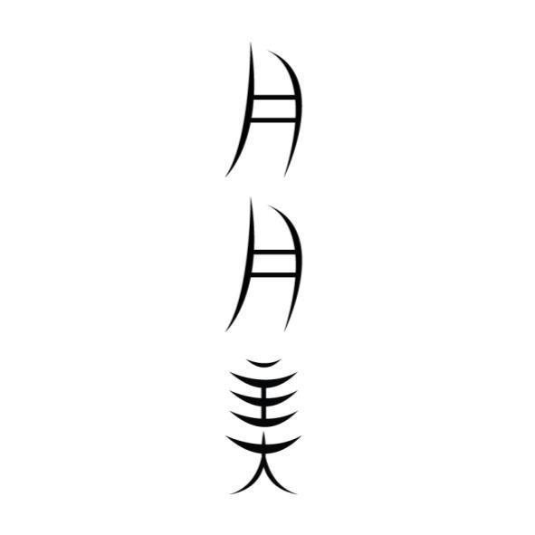 月月美
