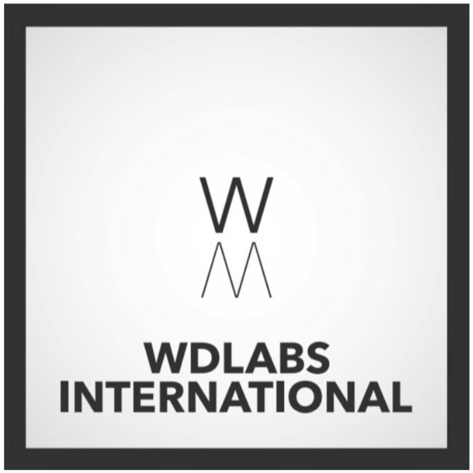 WDLABS INTERNATIONAL及圖