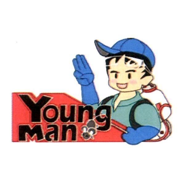Young Man 及圖