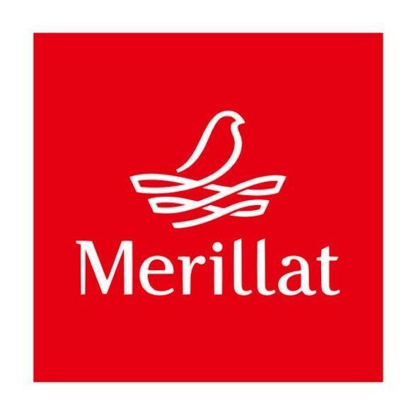 Merillat及圖 (彩色)