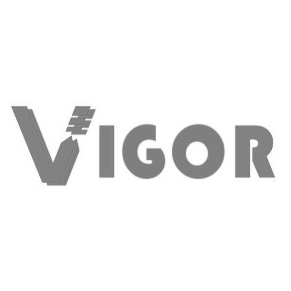 VIGOR
