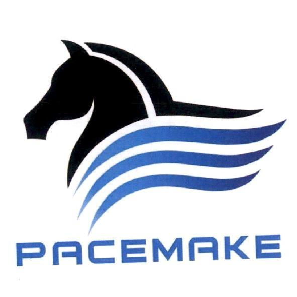 PACEMAKE 及圖