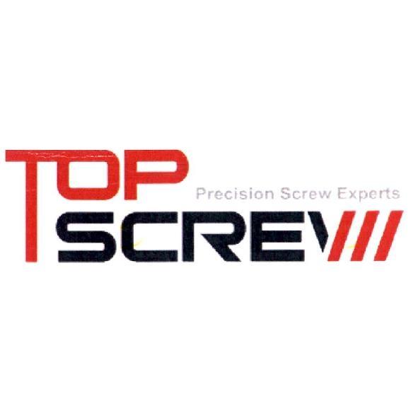 TOP SCREW Precision Screw Experts