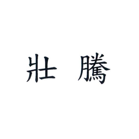 壯騰
