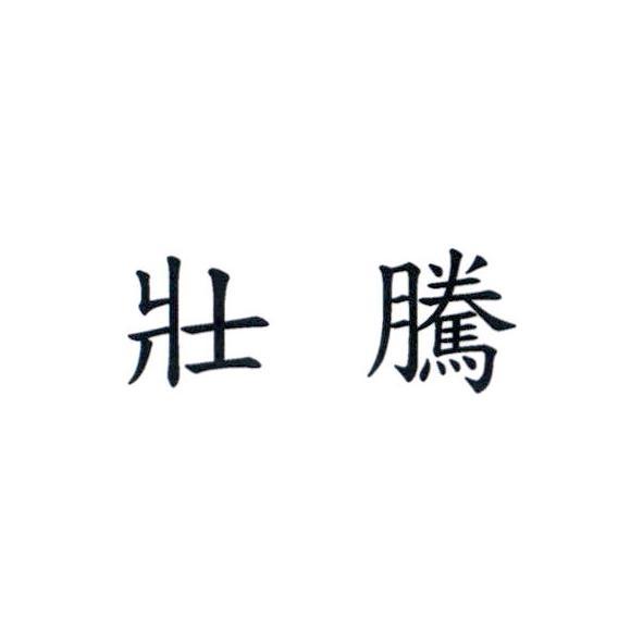 壯騰