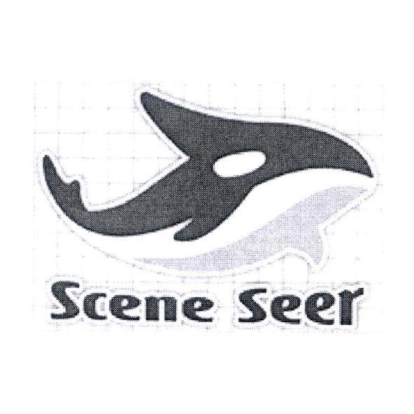 Scene Seer 及圖