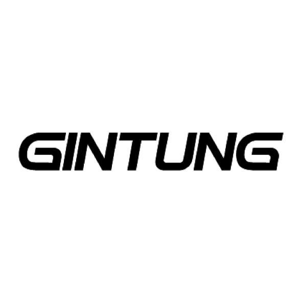 GINTUNG