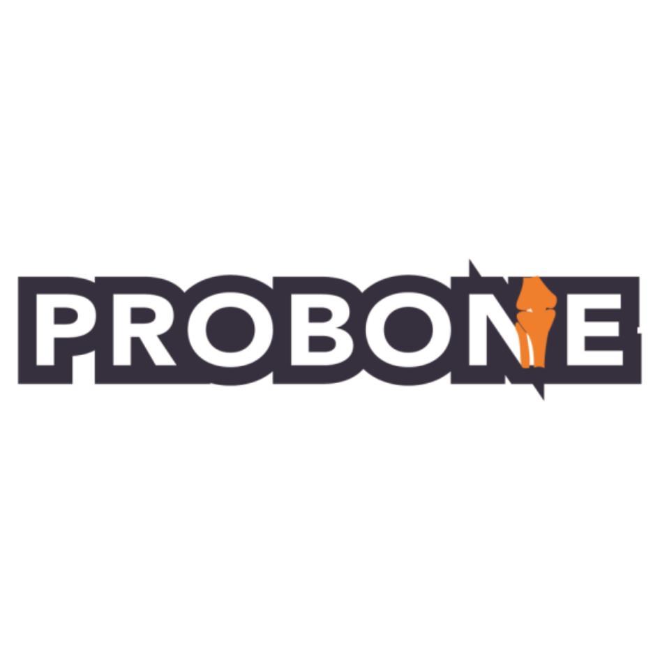 PROBONE及圖