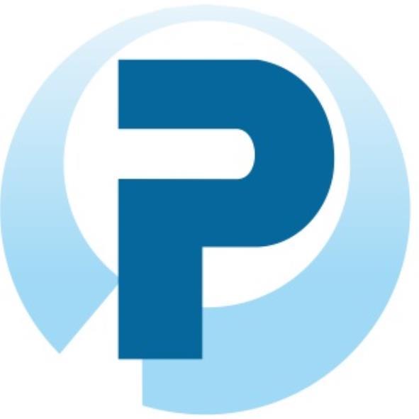 P設計字(彩)