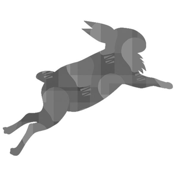 瑞兔標章