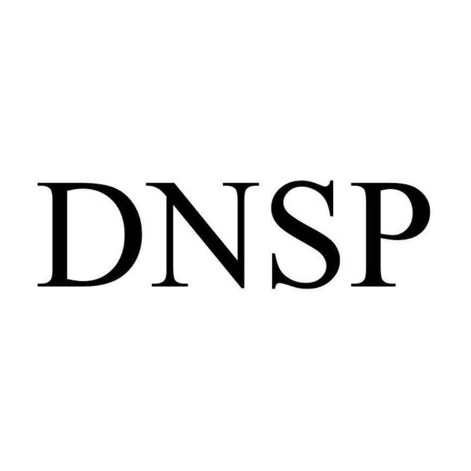 DNSP