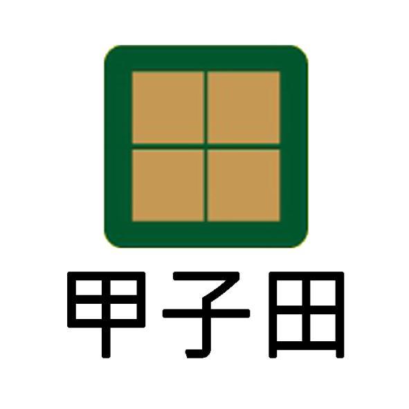 甲子田及田設計字
