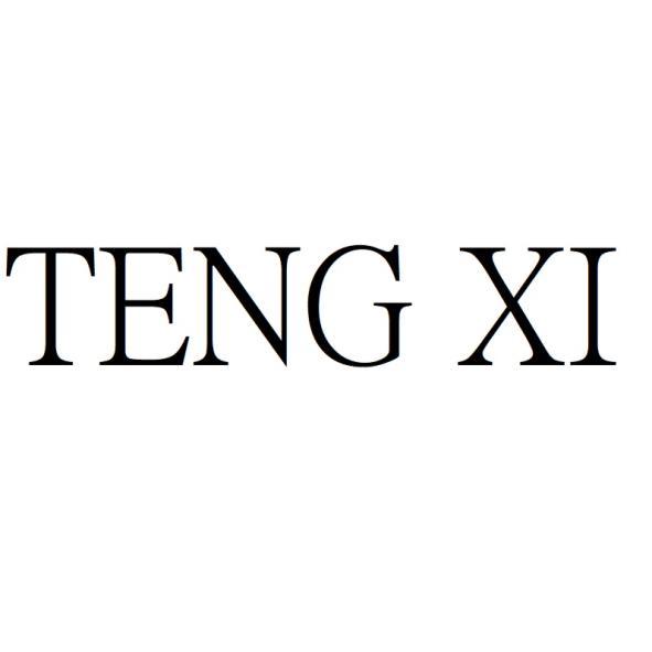 TENG XI