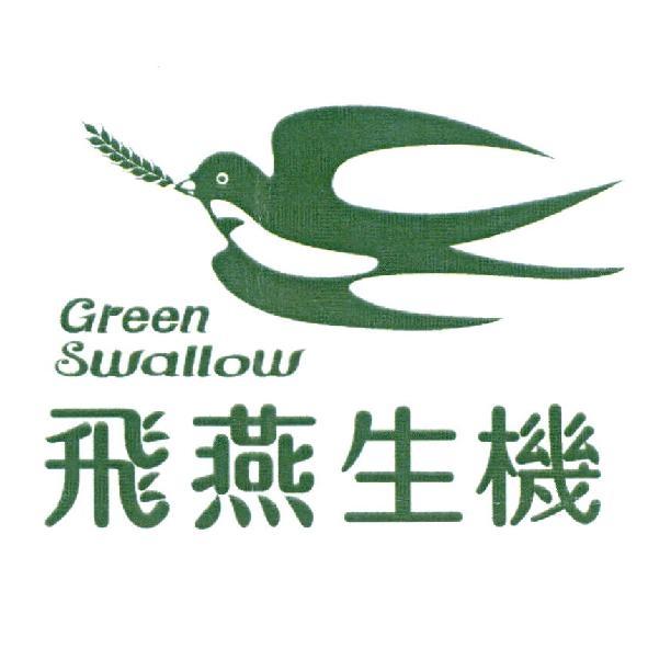 飛燕生機Green Swallow及圖