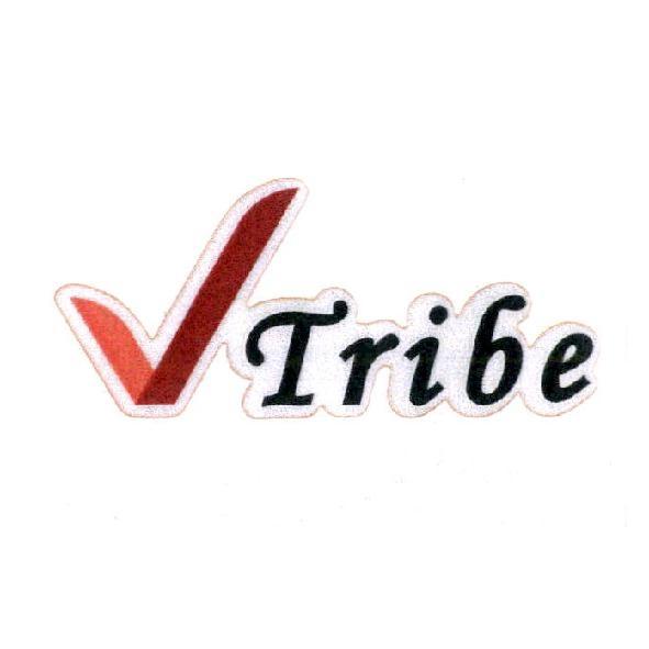 V Tribe 設計圖