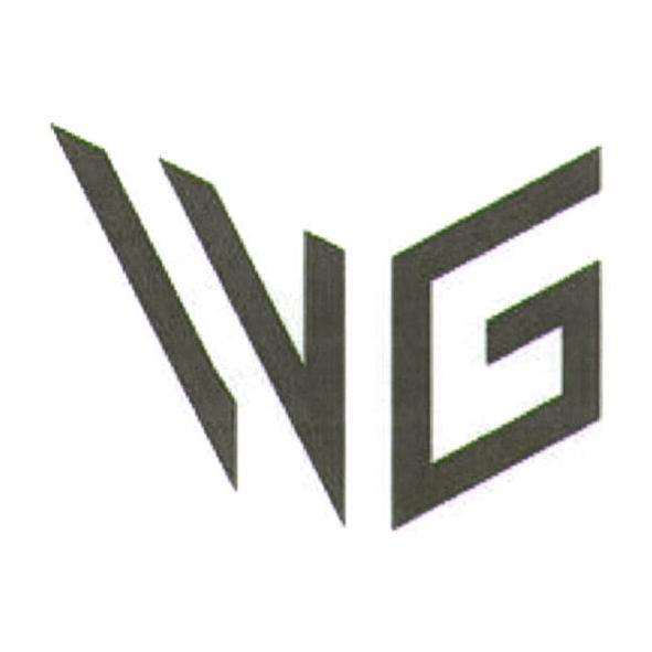 IVG
