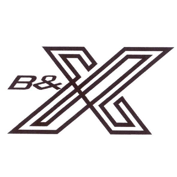 B&X 設計字