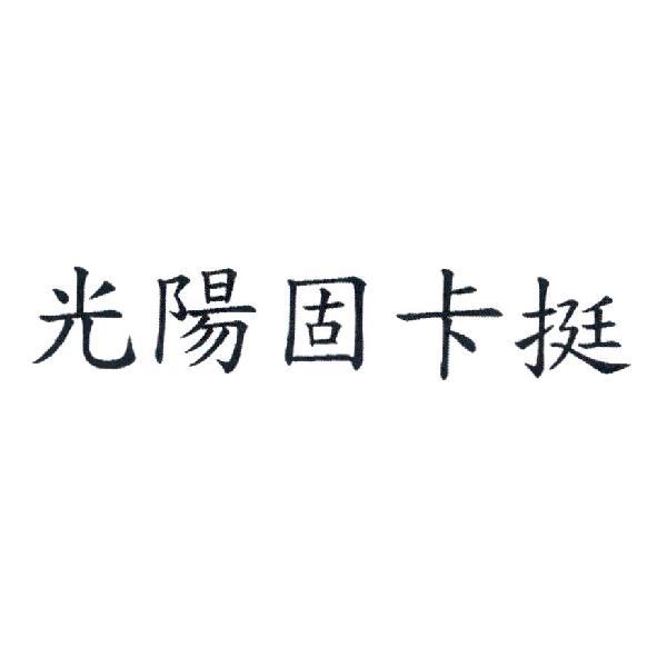 光陽固卡挺