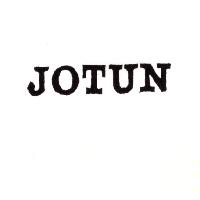 喬登股份有限公司 JOTUN（墨色）