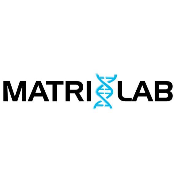 MATRIXLAB設計字及圖