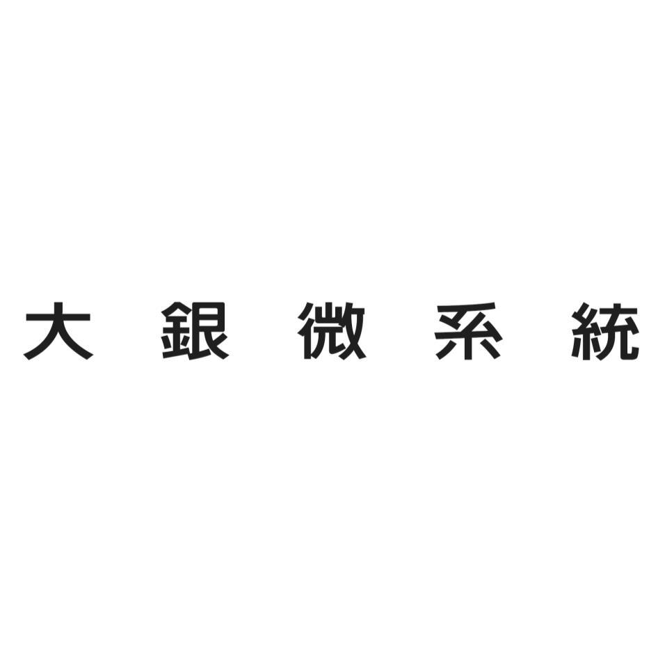 大銀微系統